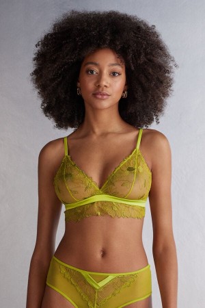 Green Intimissimi Sweet Like Sugar Triangle Women Bra | 1435RPTQB