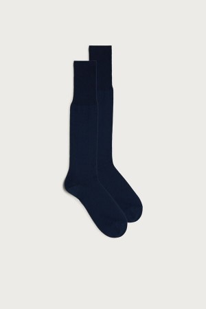 Light Grey Blue Intimissimi Tall Sateen Egyptian Cotton Men Socks | 4125HJGLT