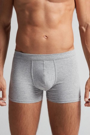 Light Grey Intimissimi Superior Cotton Men Boxer | 5614IGEFC