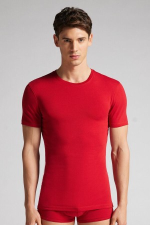 Red Intimissimi Stretch Superior Cotton Men T-Shirt | 8160VLJRX