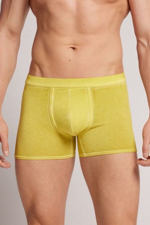 Yellow Intimissimi Natural Fresh Cotton Men Boxer | 3462LDMWH