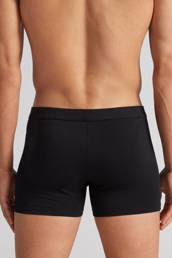 Black Intimissimi Superior Cotton Men Boxer | 8491DKUBW