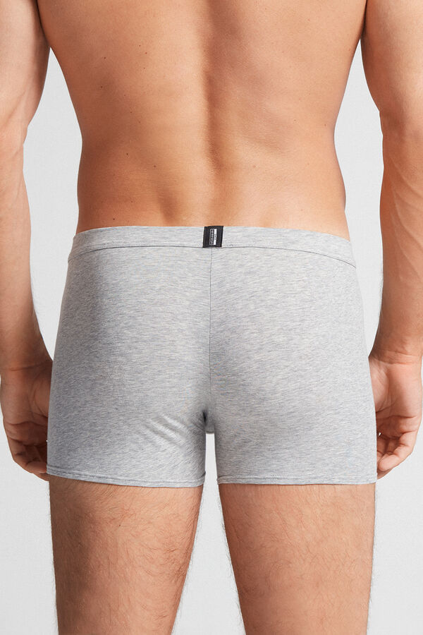 Light Grey Intimissimi Natural Fresh Cotton Men Boxer | 3849LOTWI