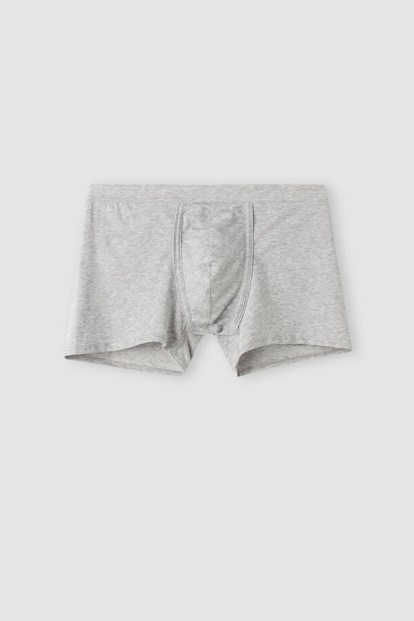 Light Grey Intimissimi Natural Fresh Cotton Men Boxer | 3849LOTWI