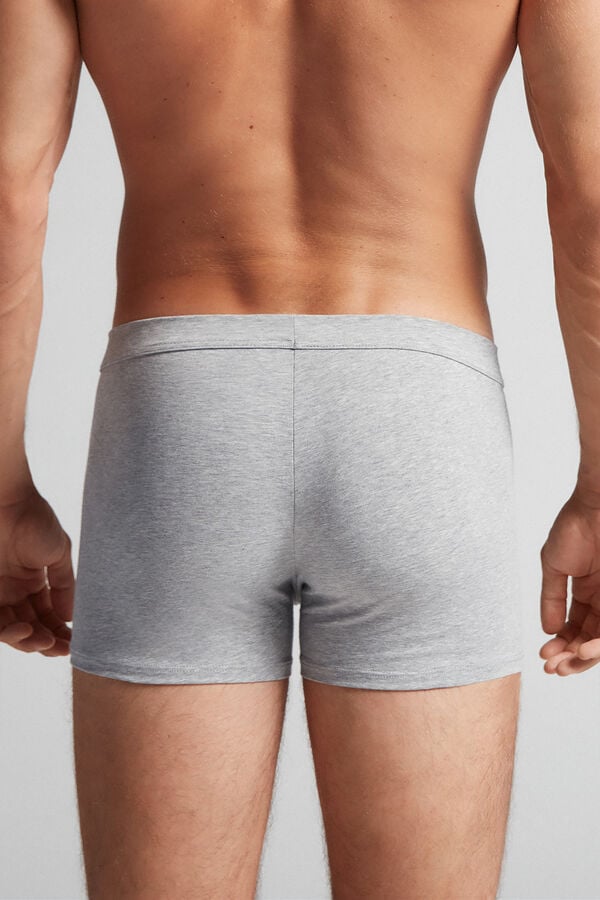 Light Grey Intimissimi Superior Cotton Men Boxer | 5614IGEFC