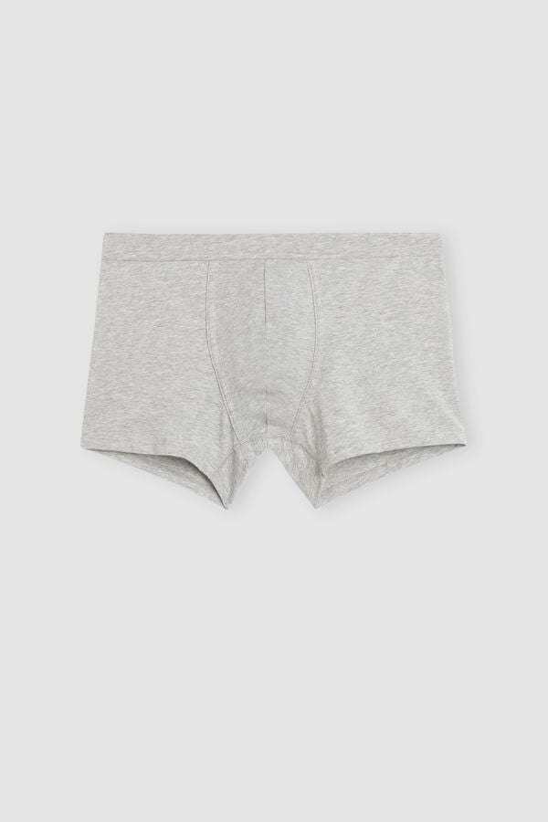 Light Grey Intimissimi Superior Cotton Men Boxer | 5614IGEFC